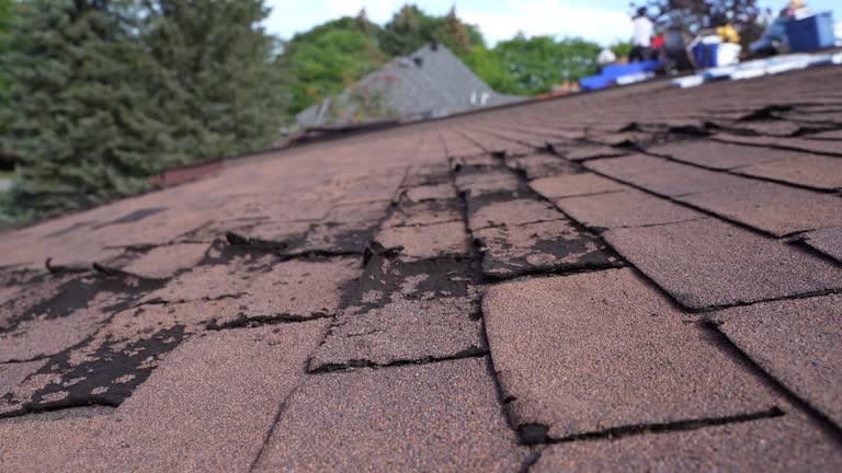 Best Sheet Metal Roofing  in Brewster, WA